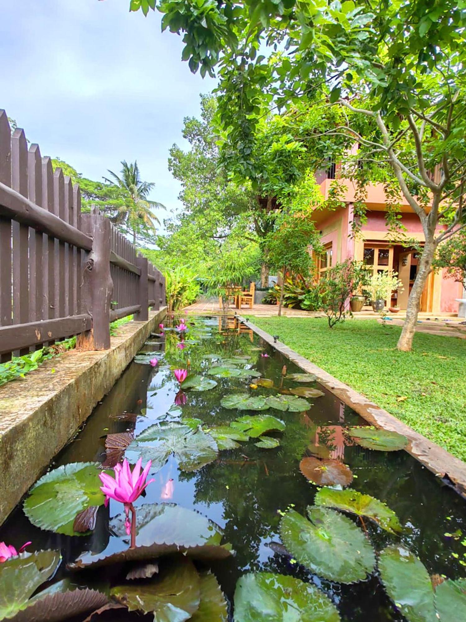 Art Yala Boutique Resort ティッサマハーラーマ エクステリア 写真