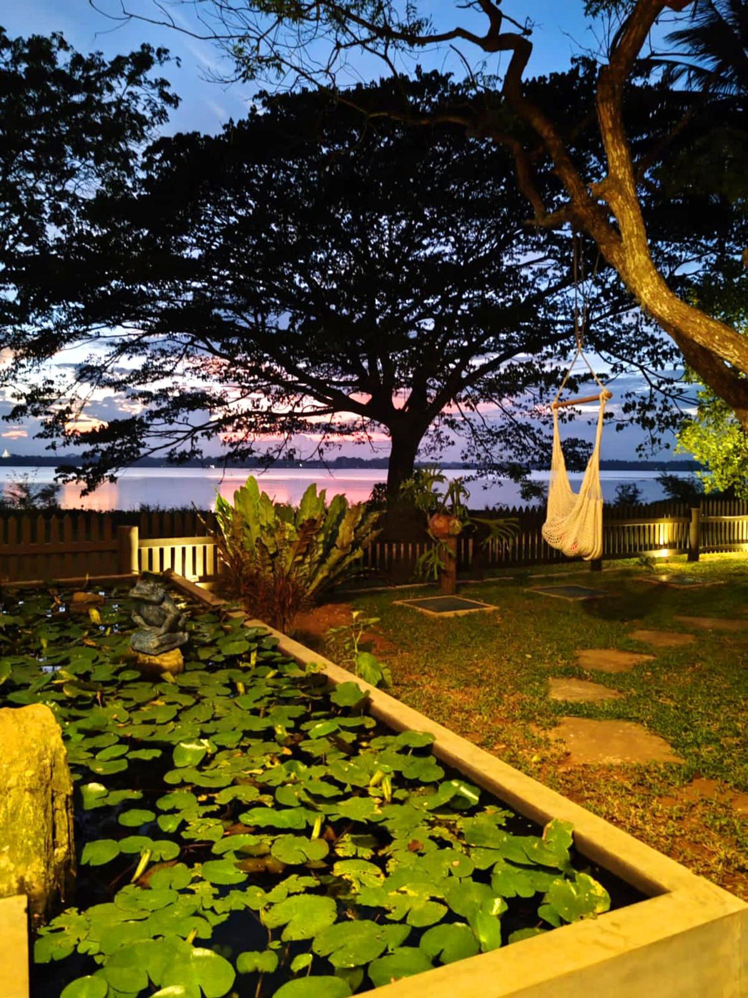 Art Yala Boutique Resort ティッサマハーラーマ エクステリア 写真