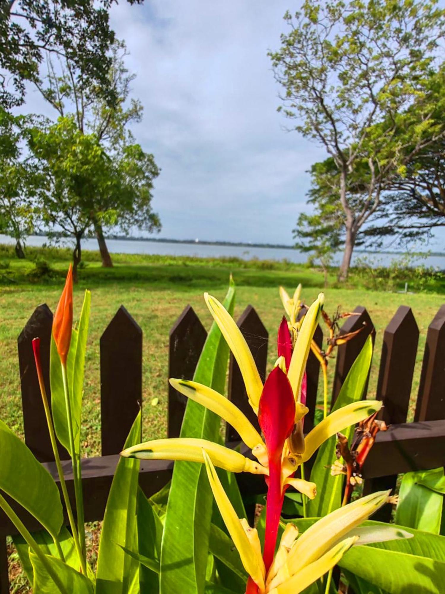 Art Yala Boutique Resort ティッサマハーラーマ エクステリア 写真