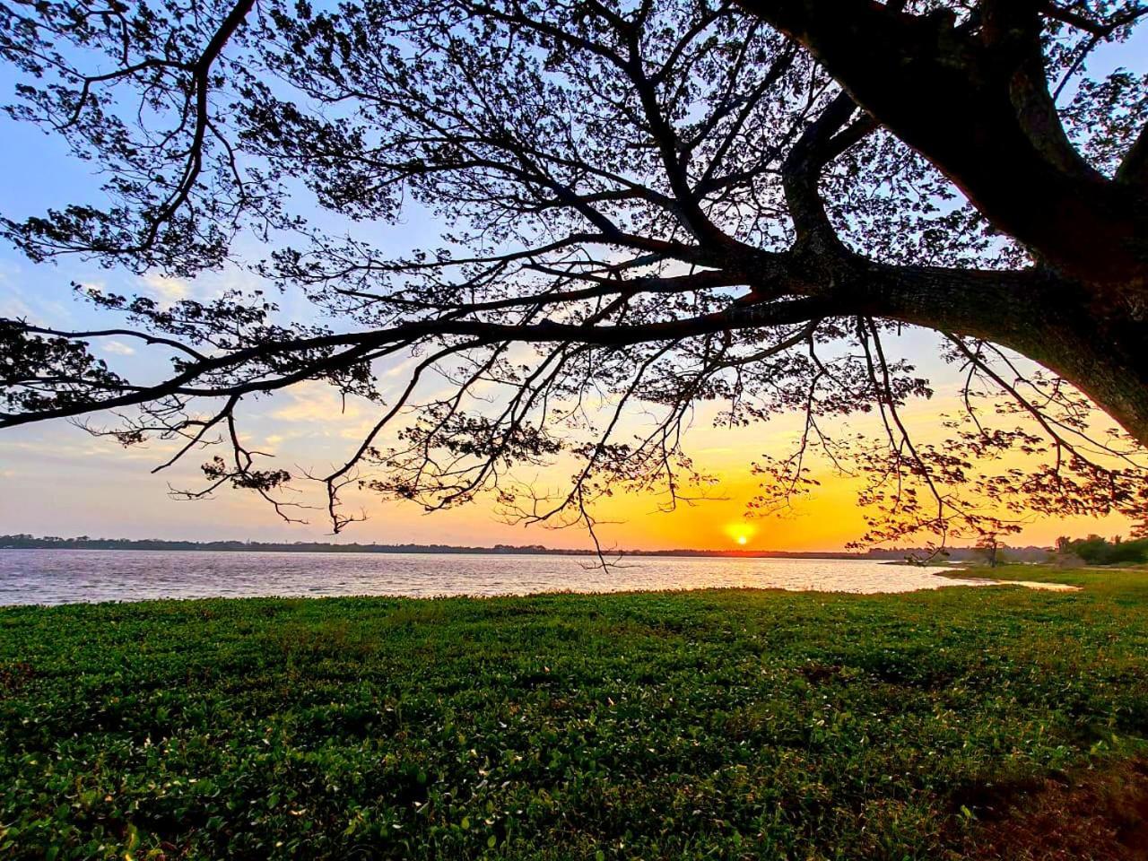 Art Yala Boutique Resort ティッサマハーラーマ エクステリア 写真